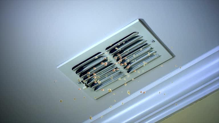 Best Air Duct Cleaning Near Me  in Moenkopi, AZ